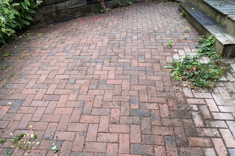 Before
